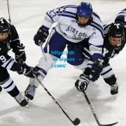 爱游戏下载_英超球迷票选赛季最佳阵容候选，萨拉赫、哈兰德与B费引领热议