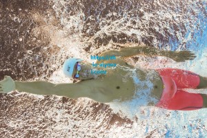 爱游戏官网：探长：状元热门杨曦皓在福建男篮进行试训 前者计划只试训1支球队